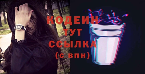 индика Бронницы