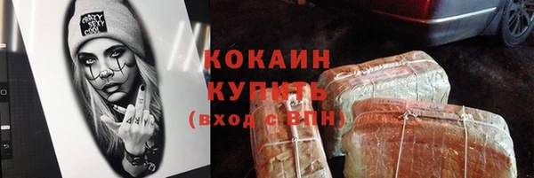индика Бронницы