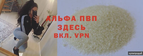 Альфа ПВП Бородино