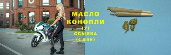 индика Бронницы