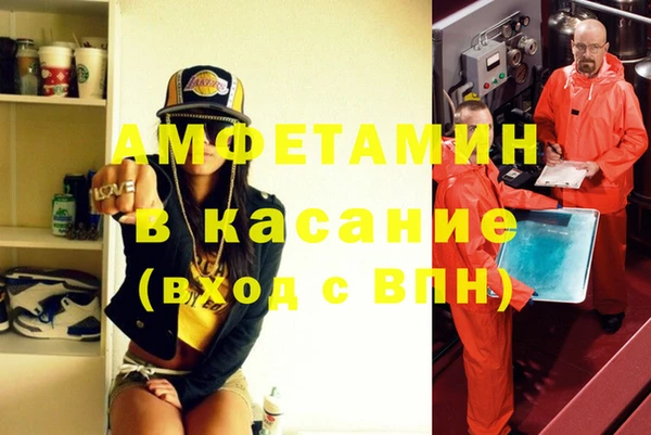 индика Бронницы