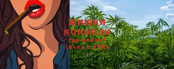 индика Бронницы