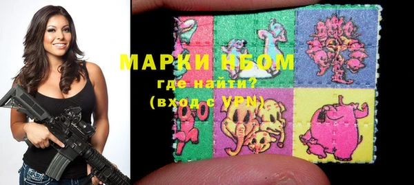 индика Бронницы
