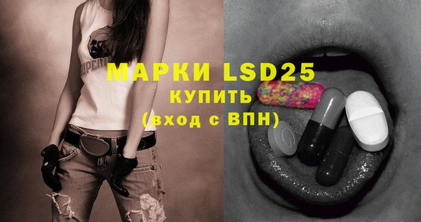 индика Бронницы